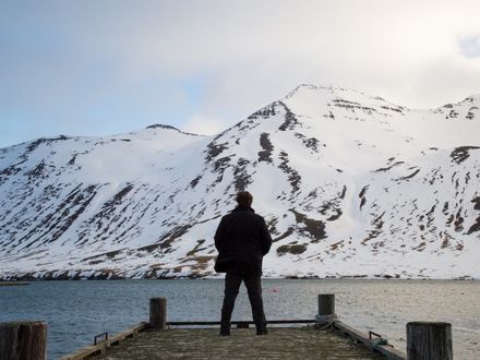 Ófærð/Sögn ehf.