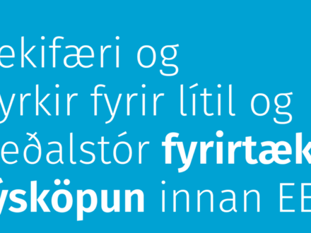 Uppbyggingasjodur-EES-vinnustofa